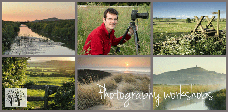 photography workshops by stephen spraggon