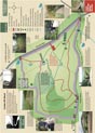 combe hill wood walk details