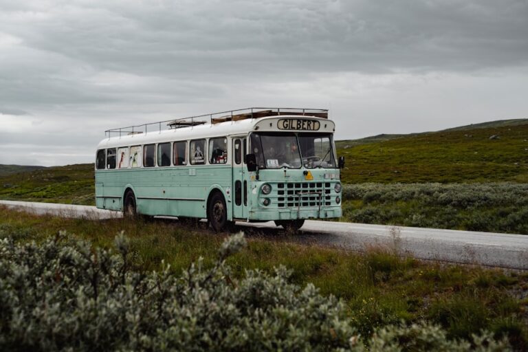 Why Choose Us for Your Transport Needs?
